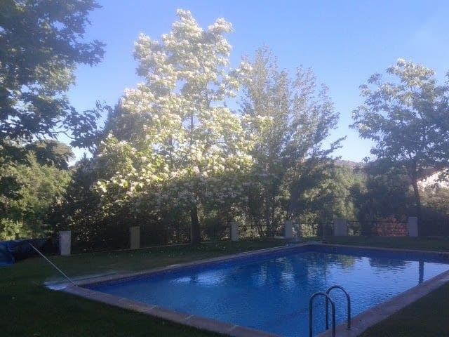 Casa/Chalet en Madrid (1/5)