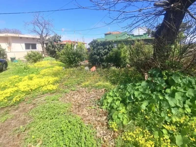 Casa/Chalet en Santa Cruz de Tenerife (1/1)