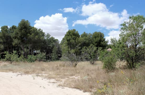 Casa/Chalet en Murcia (1/3)