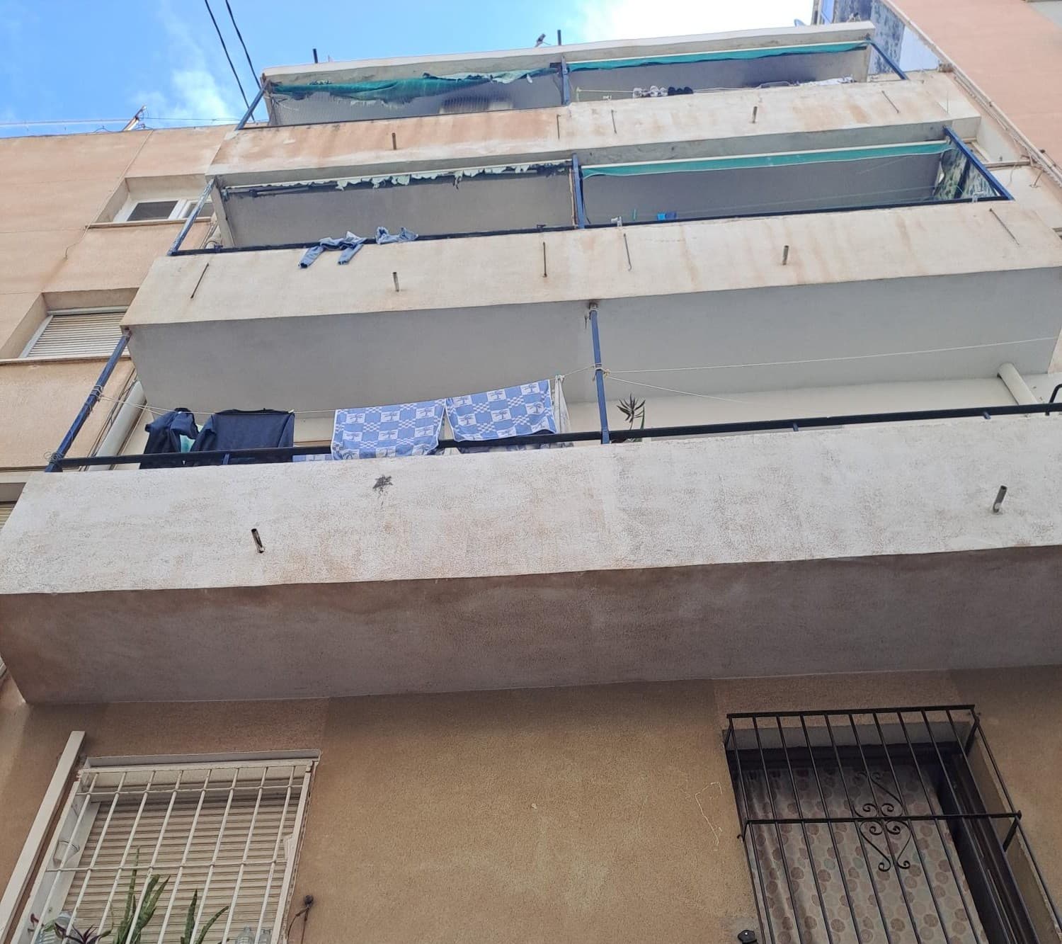 Apartment in Alicante (1/1)