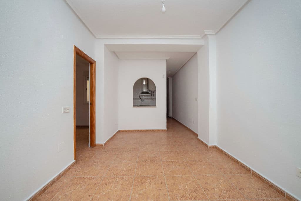 Apartment in Torrevieja (1/1)