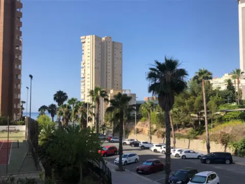 Piso en Alicante (1/1)