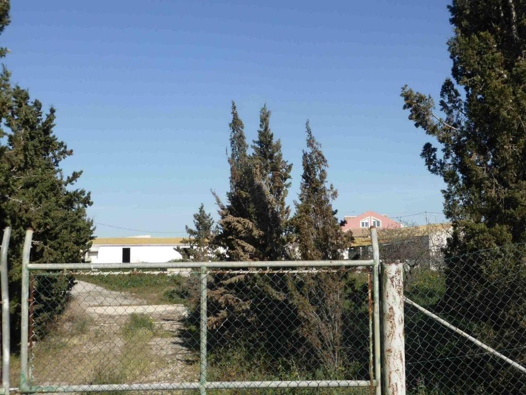 Casa/Chalet en Murcia (1/1)