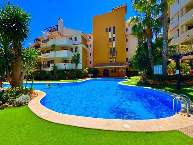 Apartment in Torrevieja (1/1)