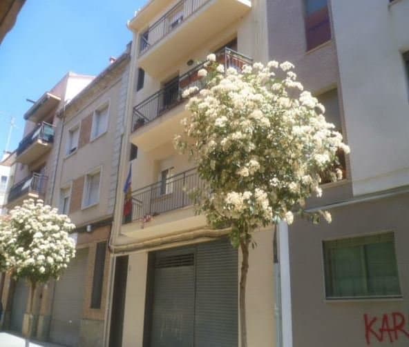 Piso en Barcelona (1/4)
