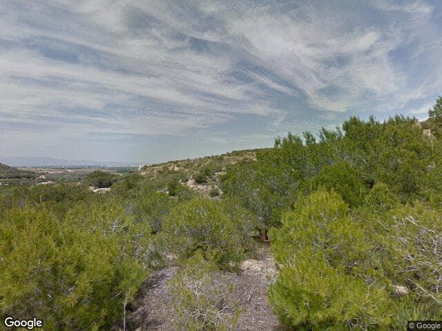 Piso en Alicante (1/1)