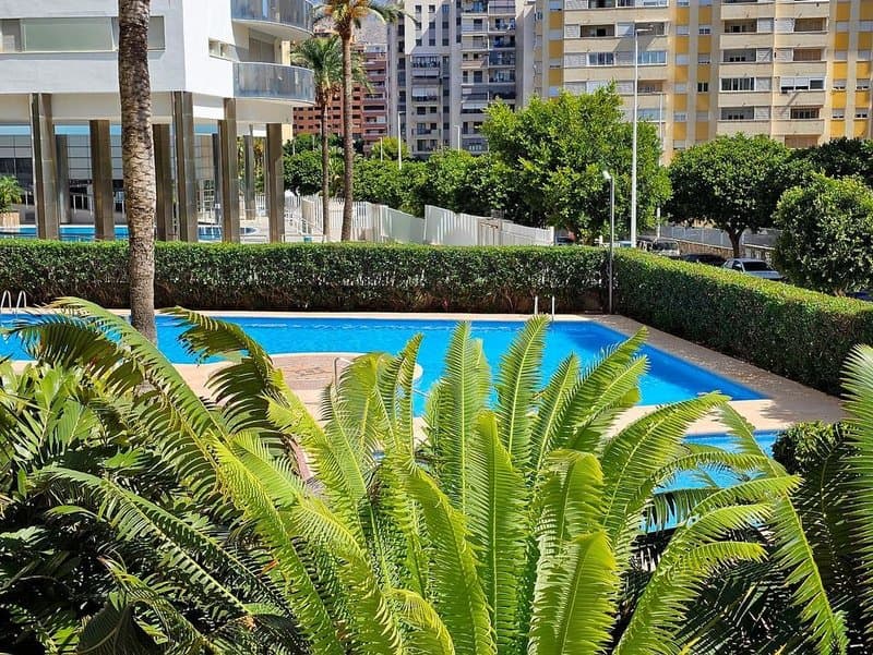 Piso en Alicante (1/5)