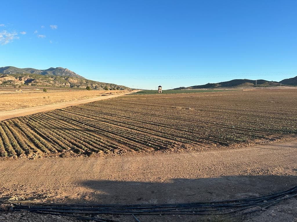 Piso en Murcia (1/3)